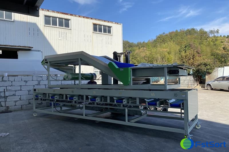 images/1702370263876clasificadora de ajo comercial.jpg